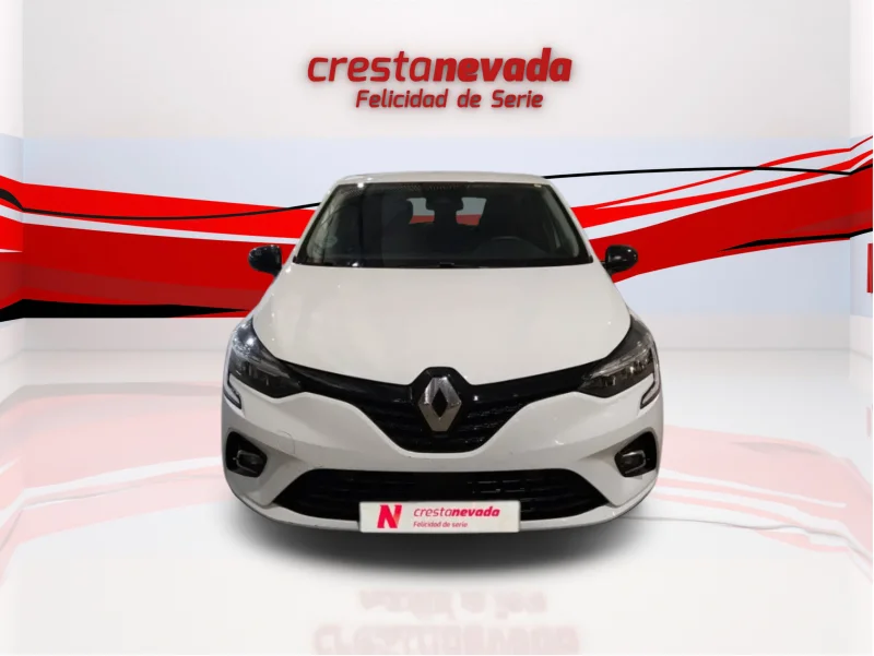 Imagen de Renault Clio