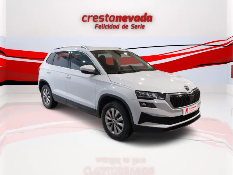 Imagen de Skoda Karoq
