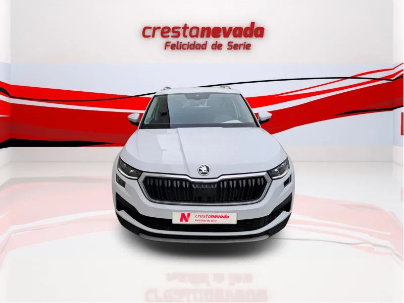 Imagen de Skoda Kodiaq