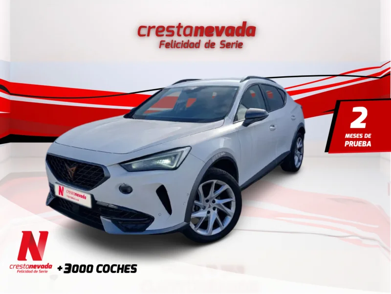 Imagen de cupra Formentor