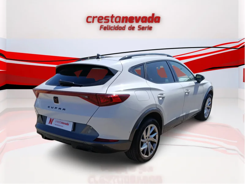 Imagen de cupra Formentor