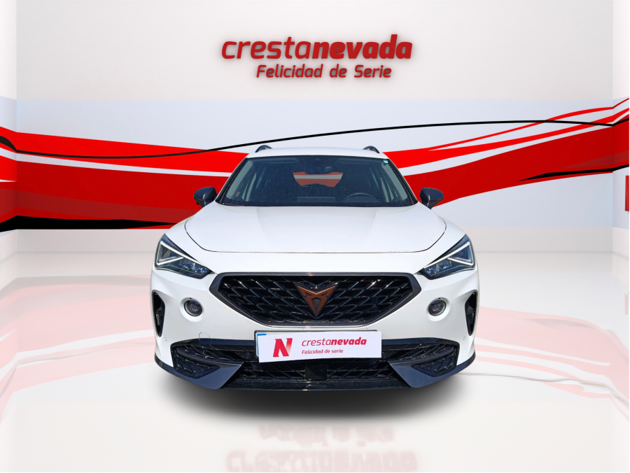 Imagen de cupra Formentor