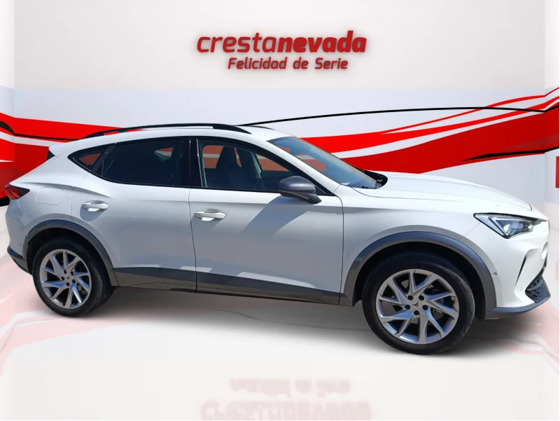 Imagen de cupra Formentor