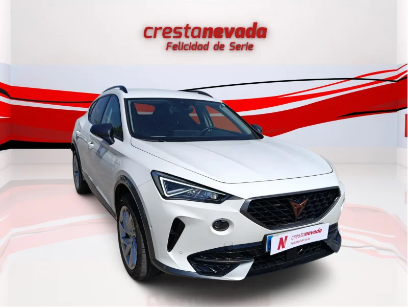 Imagen de cupra Formentor