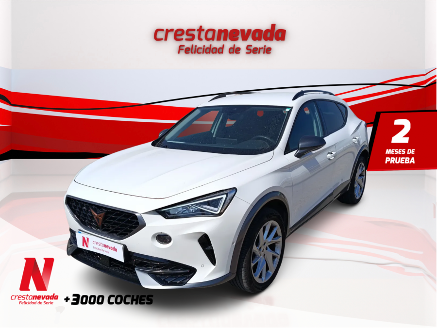 Imagen de cupra Formentor