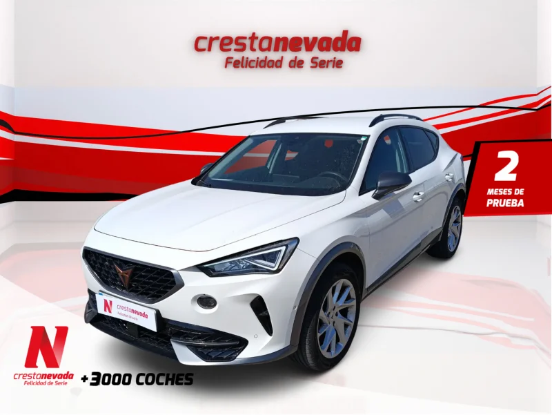 Imagen de cupra Formentor