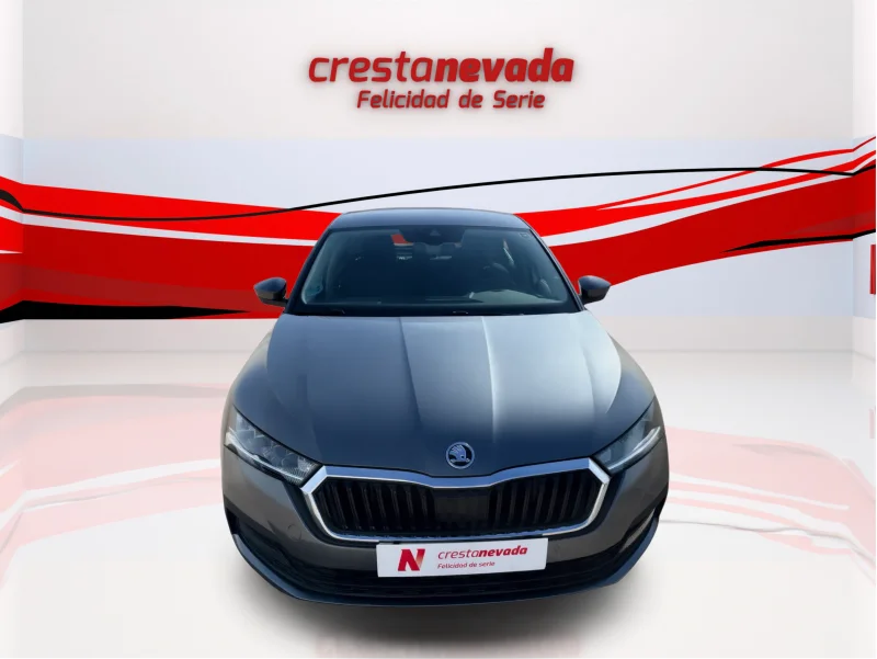 Imagen de Skoda Octavia