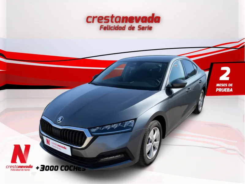 Imagen de Skoda Octavia