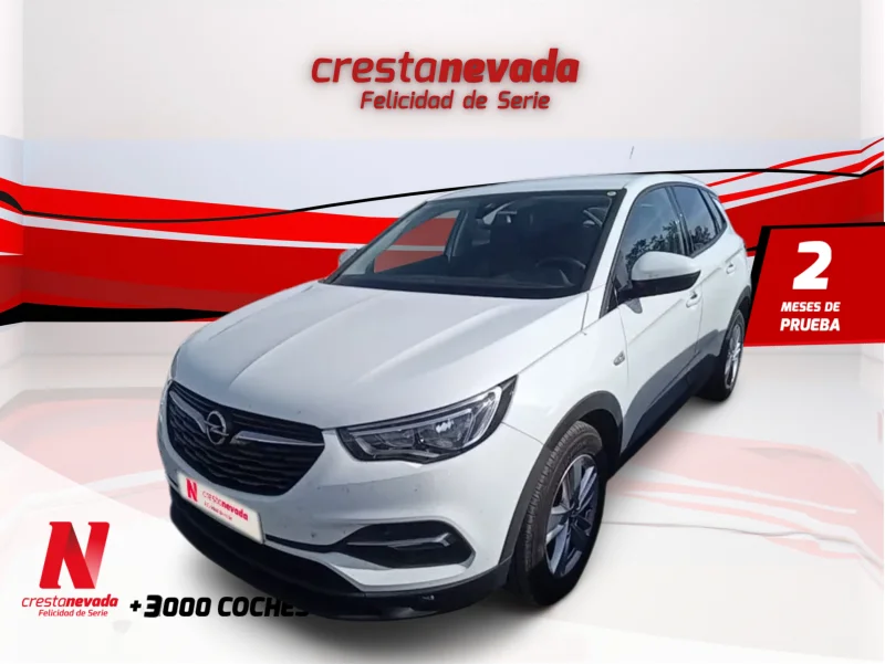 Imagen de Opel Grandland X