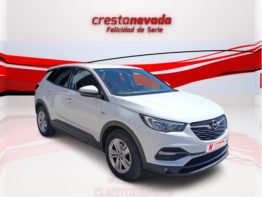 Imagen de Opel Grandland X