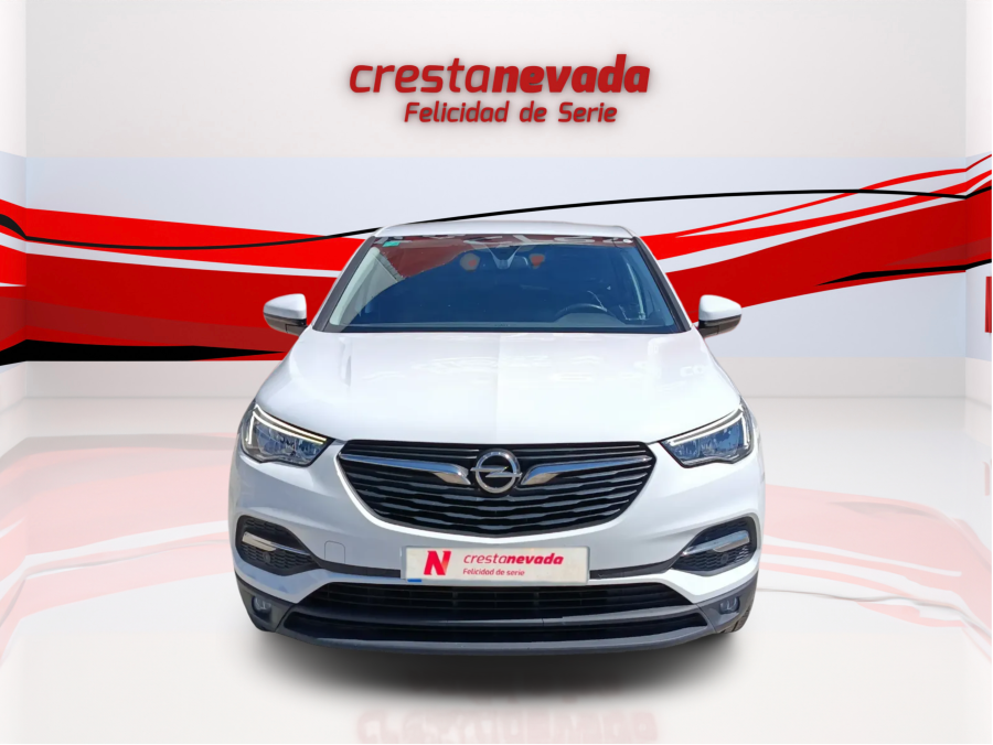 Imagen de Opel Grandland X