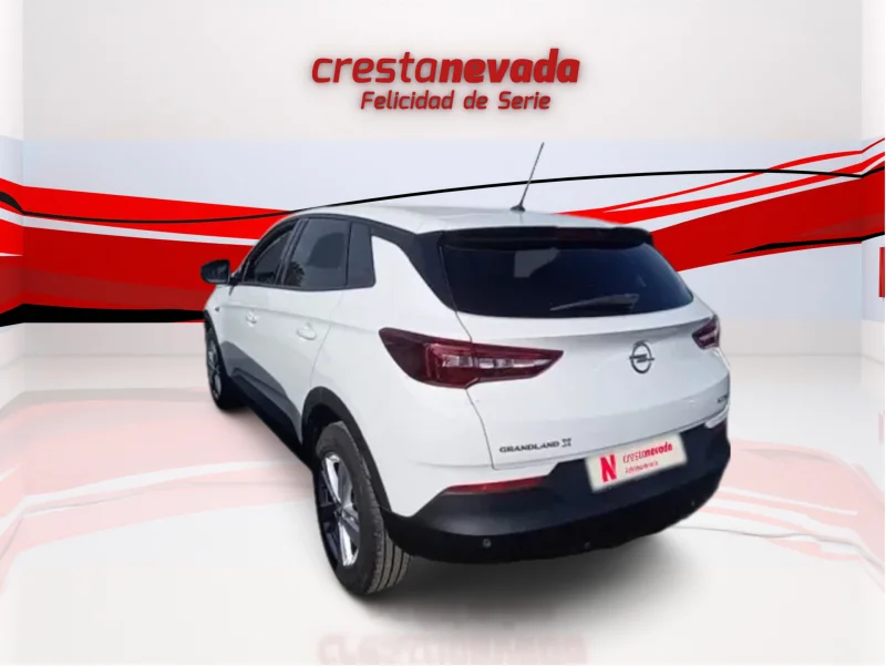 Imagen de Opel Grandland X