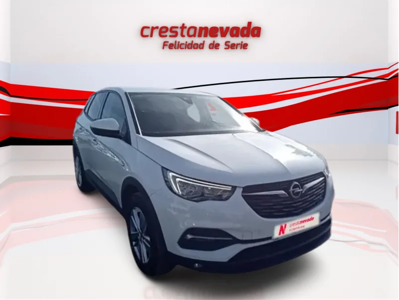 Imagen de Opel Grandland X