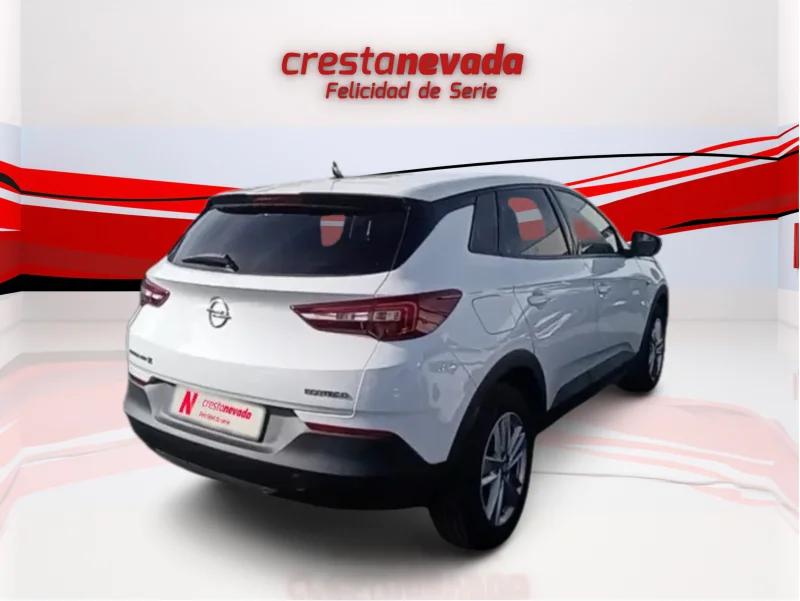 Imagen de Opel Grandland X