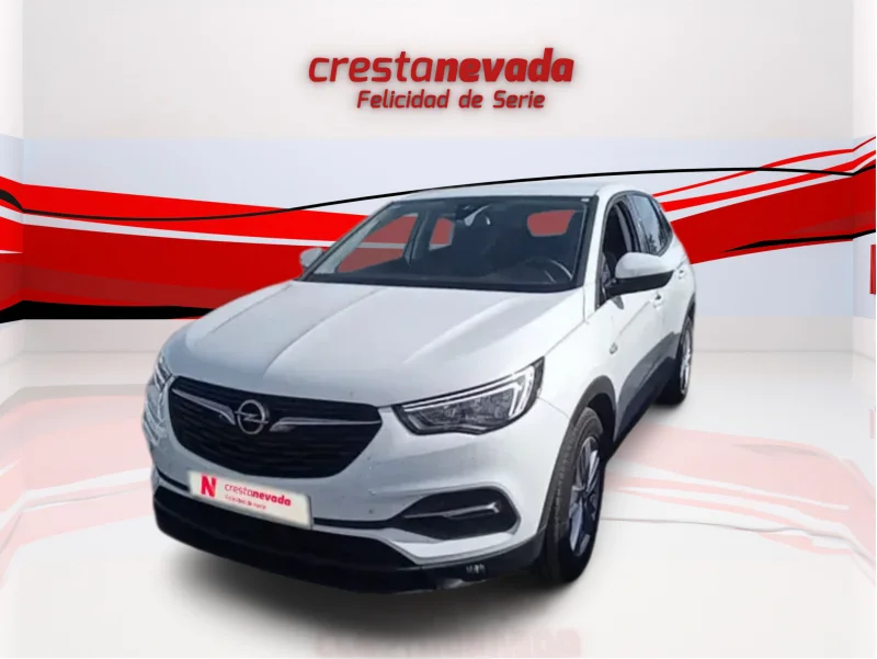 Imagen de Opel Grandland X