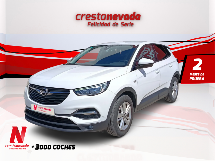 Imagen de Opel Grandland X