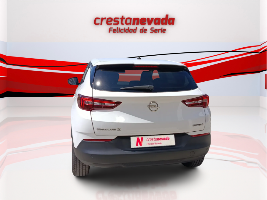 Imagen de Opel Grandland X