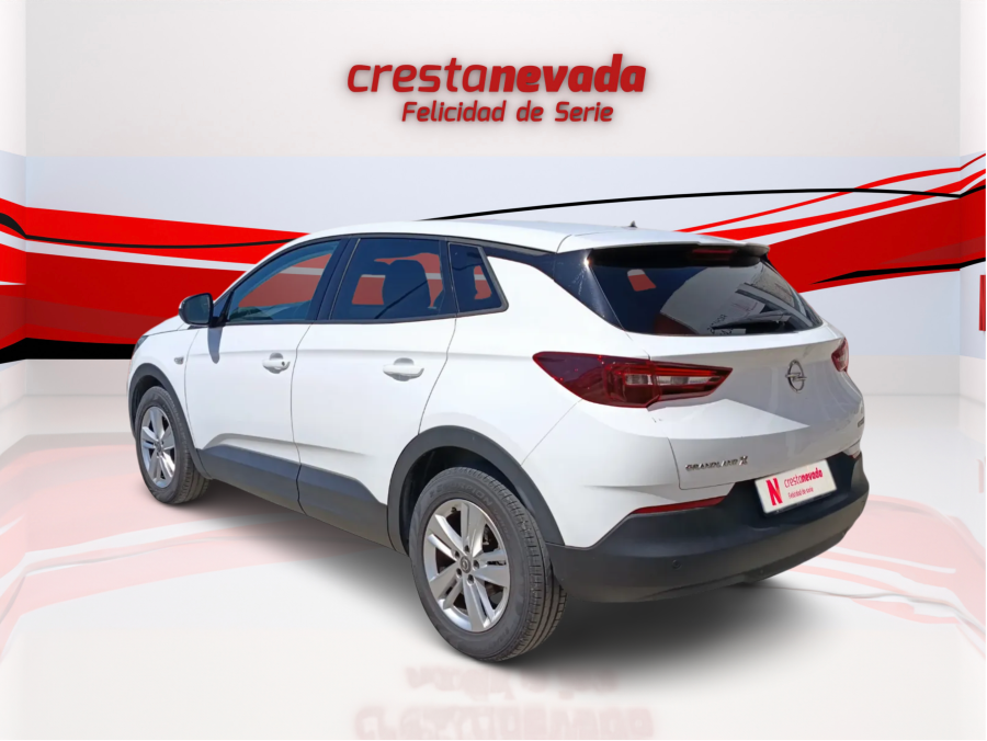 Imagen de Opel Grandland X