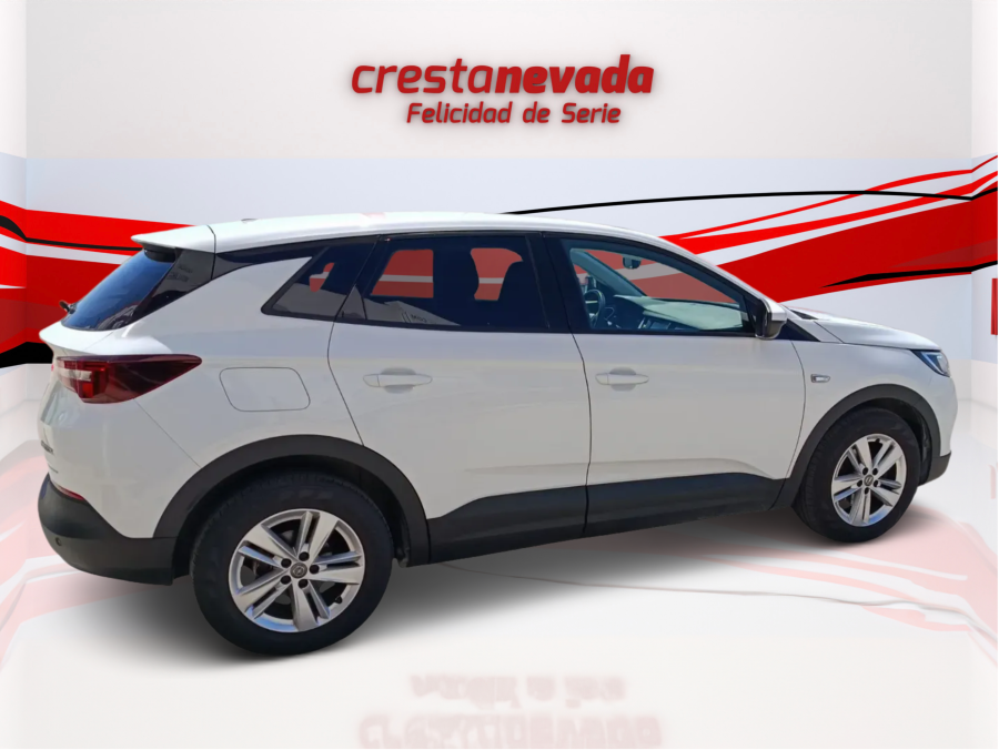 Imagen de Opel Grandland X