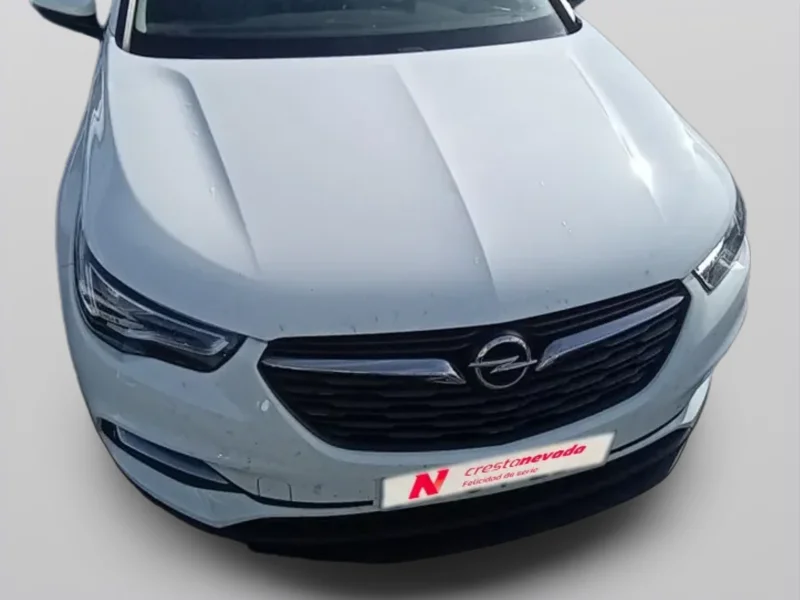 Imagen de Opel Grandland X