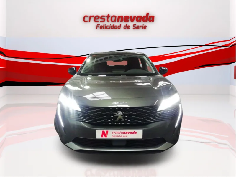 Imagen de Peugeot 3008