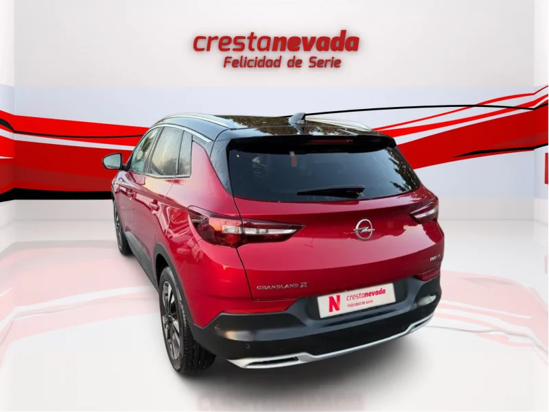 Imagen de Opel Grandland X
