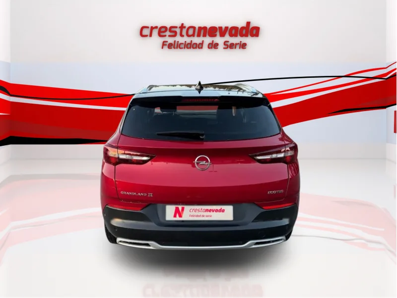 Imagen de Opel Grandland X