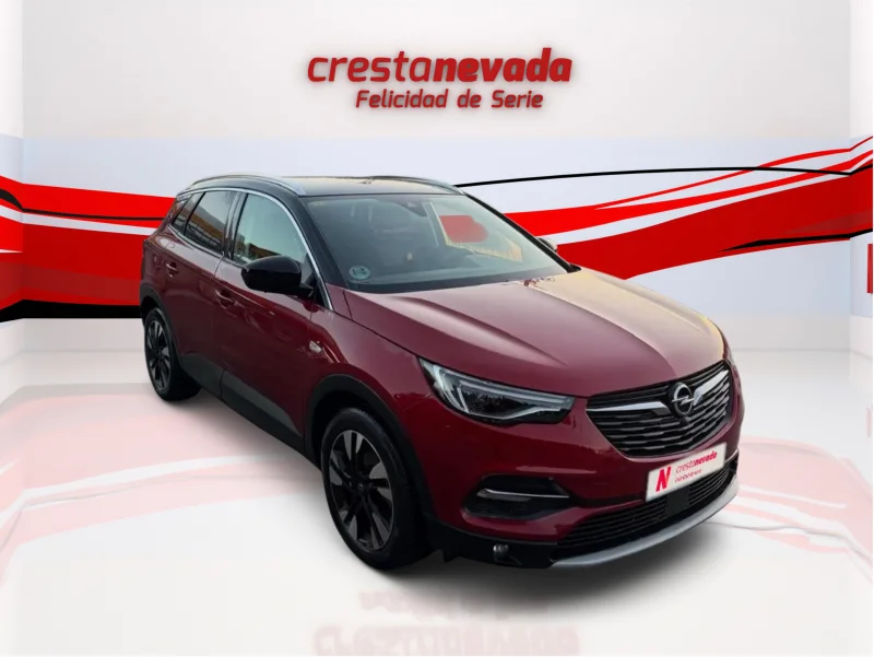 Imagen de Opel Grandland X