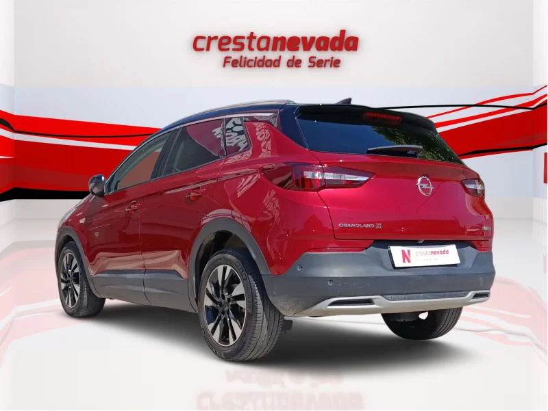 Imagen de Opel Grandland X