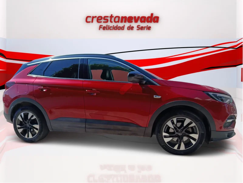 Imagen de Opel Grandland X