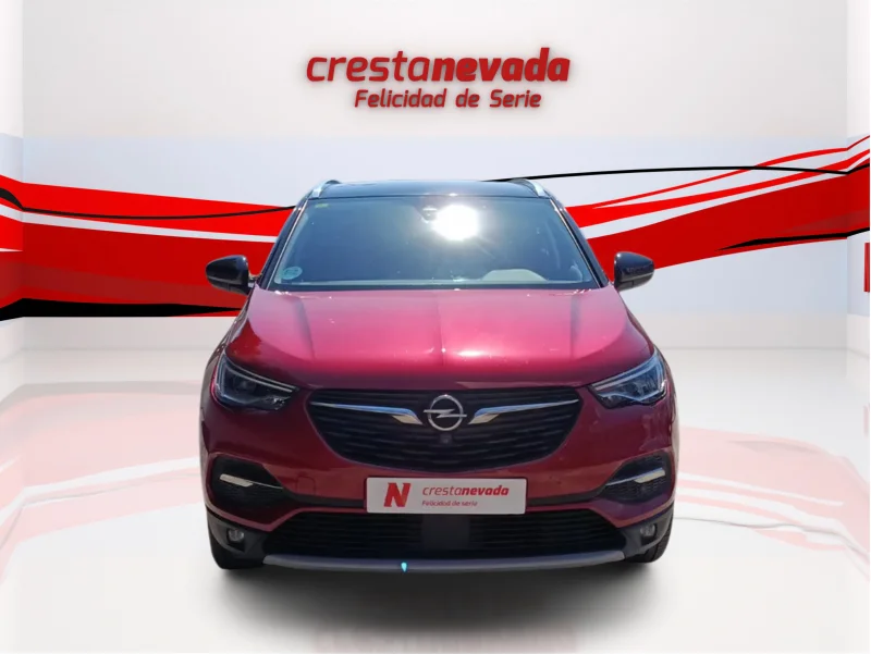 Imagen de Opel Grandland X