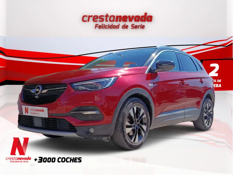 Imagen de Opel Grandland X