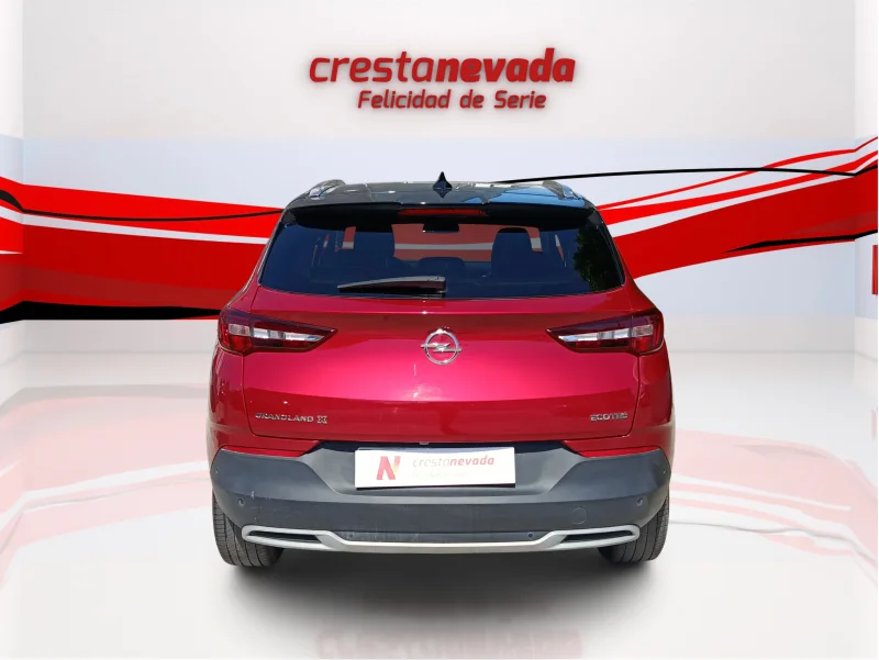 Imagen de Opel Grandland X