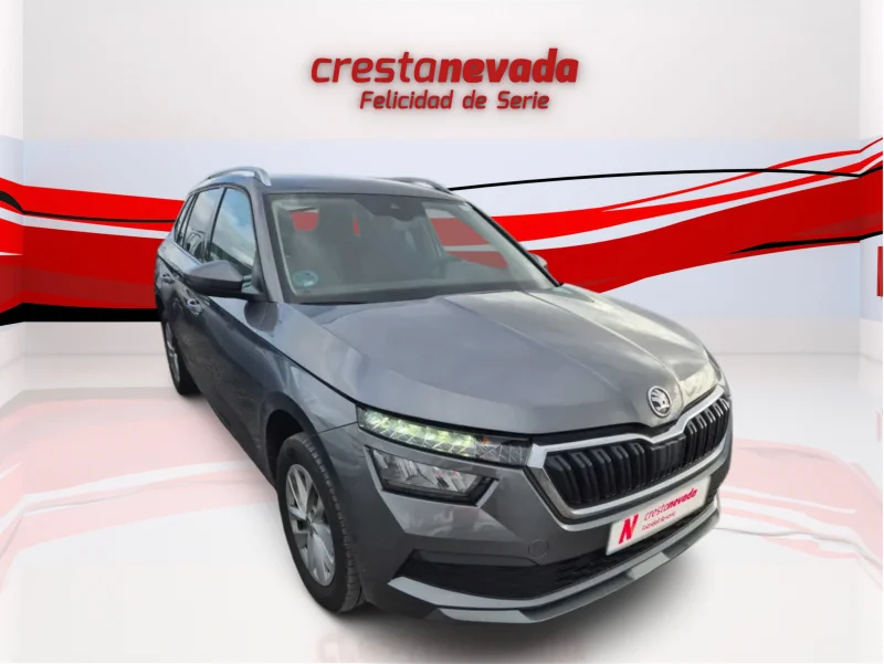 Imagen de Skoda Kamiq