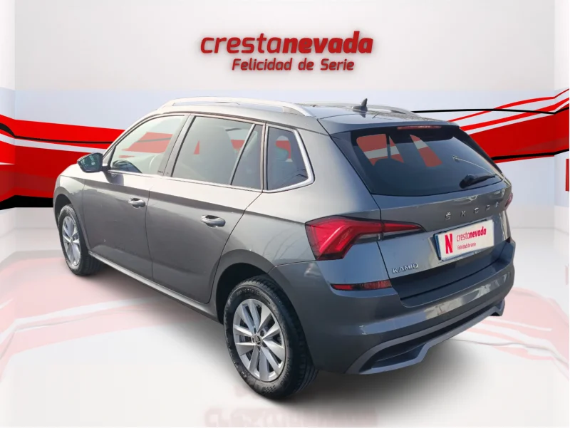 Imagen de Skoda Kamiq
