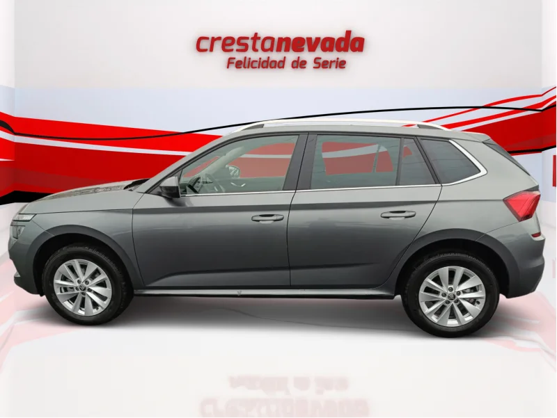 Imagen de Skoda Kamiq