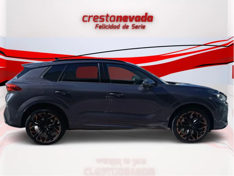 Imagen de cupra Terramar