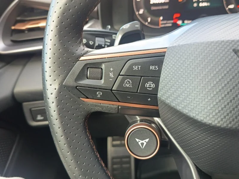 Imagen de cupra Terramar