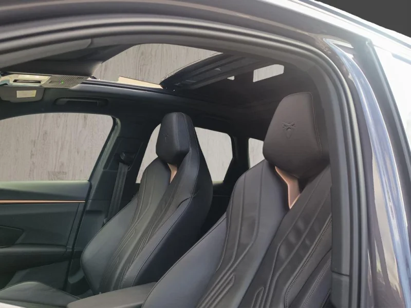 Imagen de cupra Terramar