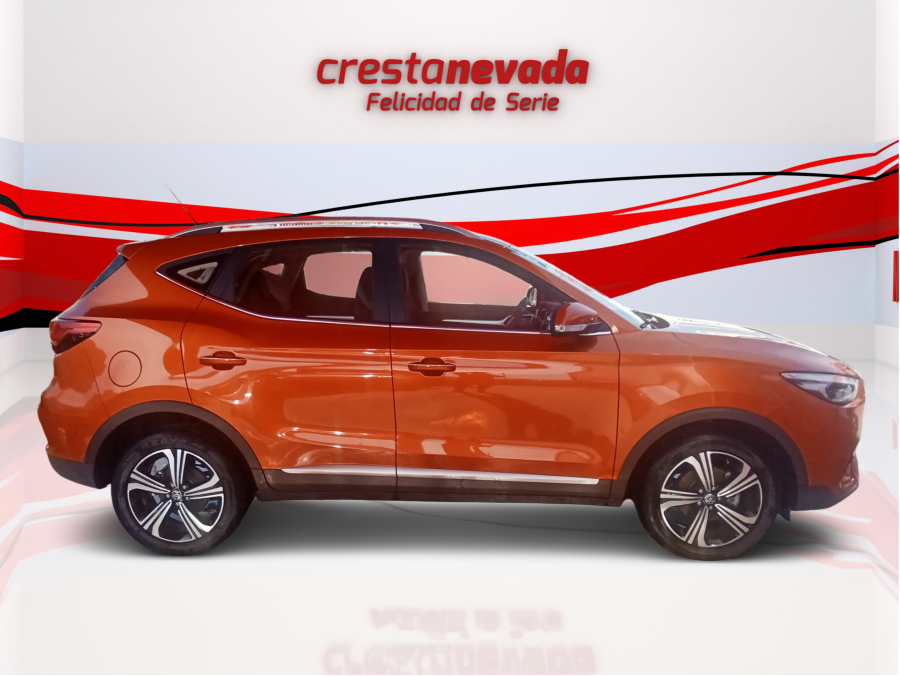 Imagen de Mg ZS