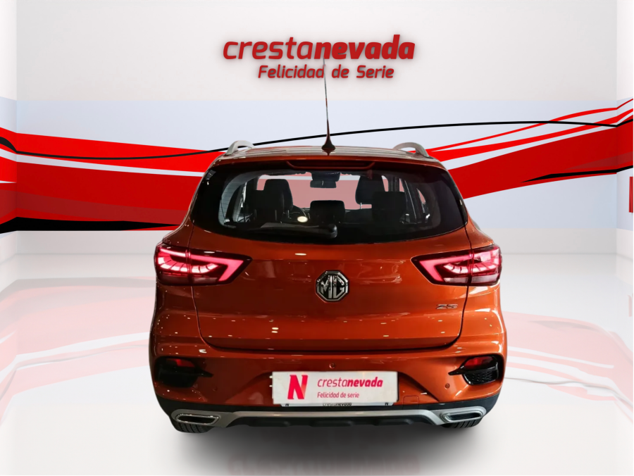 Imagen de Mg ZS