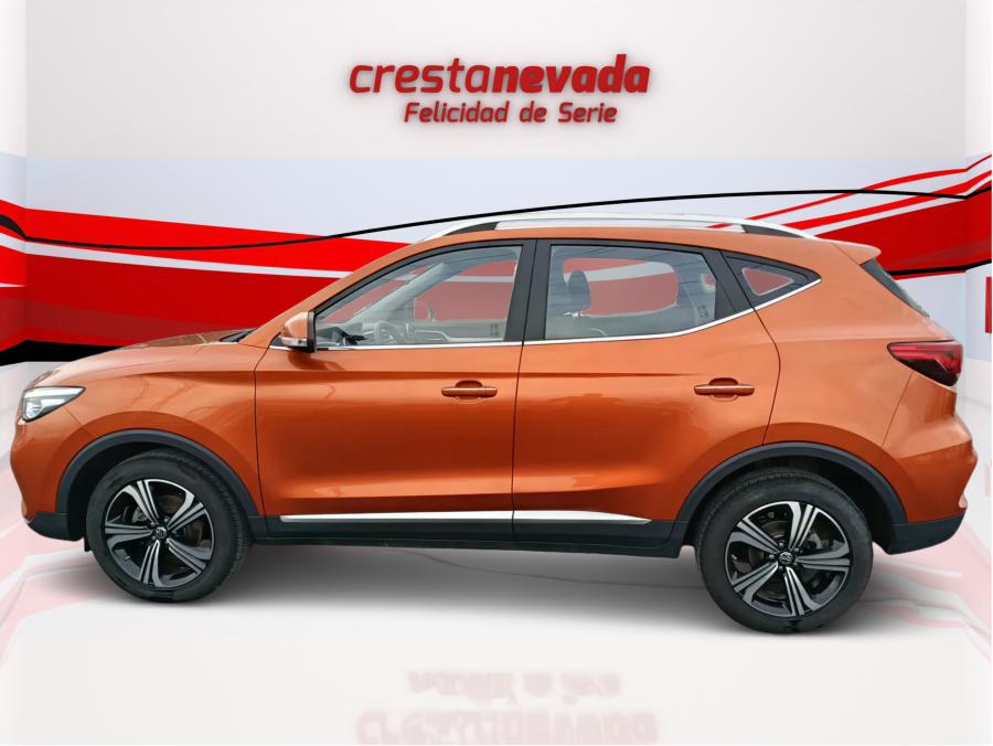 Imagen de Mg ZS