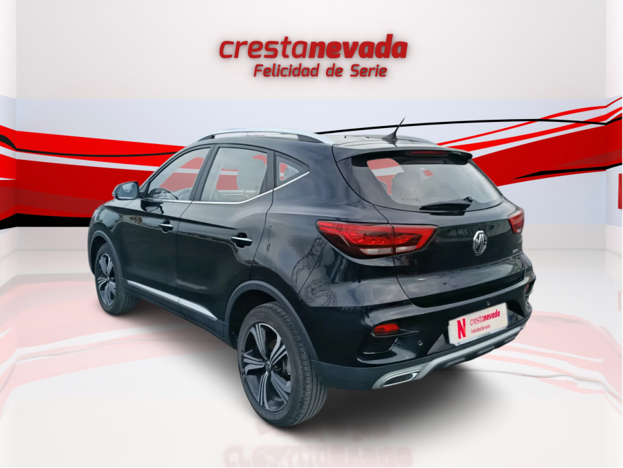 Imagen de Mg ZS