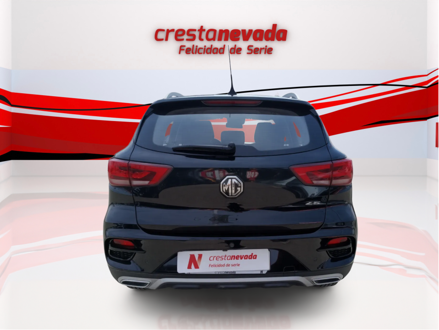 Imagen de Mg ZS
