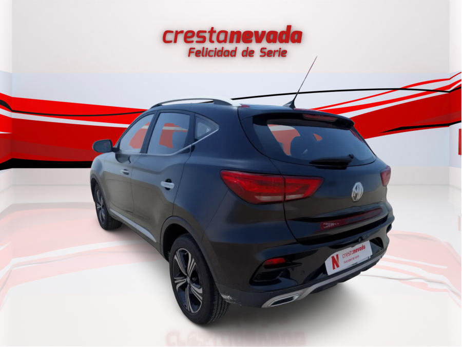 Imagen de Mg ZS