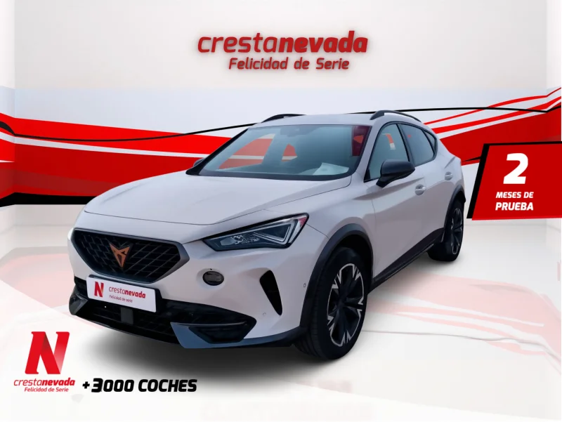 Imagen de cupra Formentor