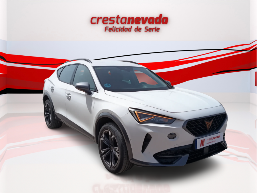 Imagen de cupra Formentor