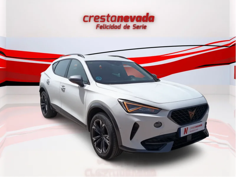 Imagen de cupra Formentor