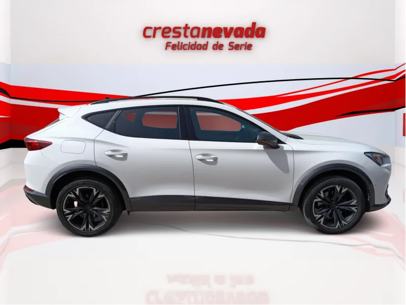 Imagen de cupra Formentor