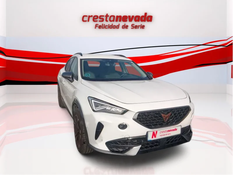 Imagen de cupra Formentor